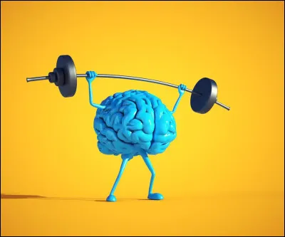 Vrai ou faux : Le cerveau humain consomme une grande partie de l�&eacute;nergie du corps.