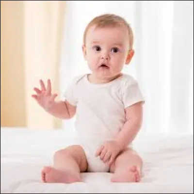 Qui a sorti son 1er album en 2025 ?