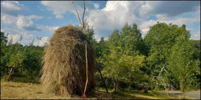 Quelle petite appellation des C&ocirc;tes du Jura, au nord-ouest de Lons-le-Saunier, porte le nom d'un astre ?