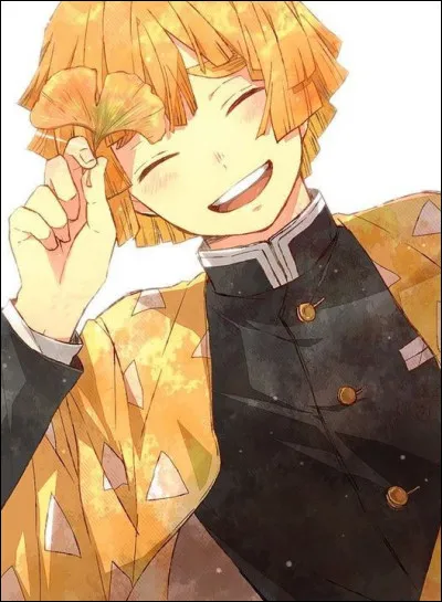 Tu te r&eacute;veilles. Aujourd'hui, tu vas voir Zenitsu !