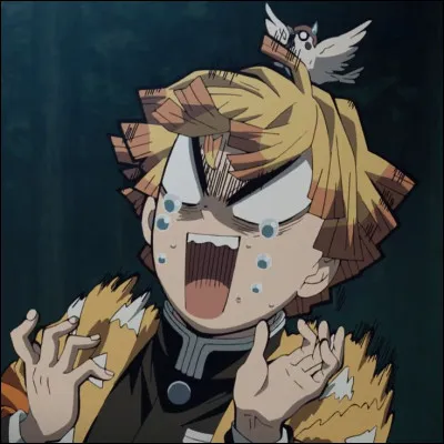 Il te propose d�aller au cin&eacute;ma. Tu lui dis "Oui" et vous y allez. Vous choisissez un film d�horreur, malgr&eacute; la frousse de Zenitsu. Vous entrez dans la salle et le film commence. Tu entends d&eacute;j&agrave; Zenitsu pleurer.