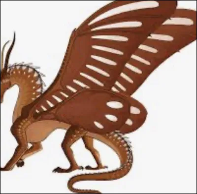 D : Je suis une Soie de Feu :