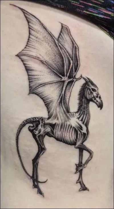 Quel h&eacute;ros peut voir les Sombrals ?