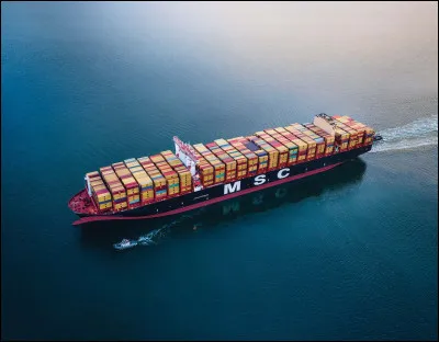 Que repr&eacute;sente cette image ?