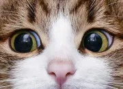 Test Es-tu un bon amie pour ✨MOI✨ ?