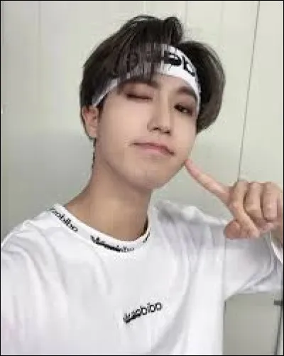 Quel est son Skzoo ?