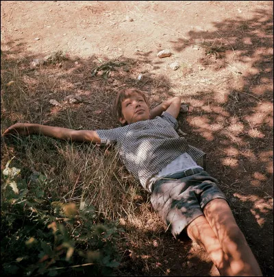 Quel adjectif te qualifie le mieux ?