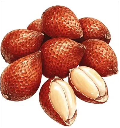 Quel est le nom de ce petit fruit fusiforme produit par le palmier du m&ecirc;me nom ?