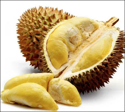 Quel est le nom de ce fruit tropical &agrave; peau &eacute;pineuse et &agrave; odeur r&eacute;pugnante ?