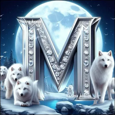 M comme Meute de loups : par quels individus est compos&eacute;e la meute ?