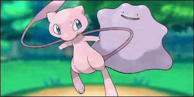 Quel(s) est/sont le(s) type(s) de Mew ?