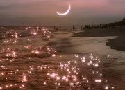 Test Ta vie d'idole de K-pop, test 9 : ton concert (partie 2) les p�rip�ties