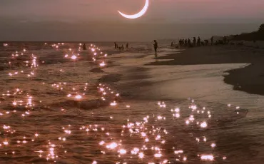 Quiz Test de personnalit�