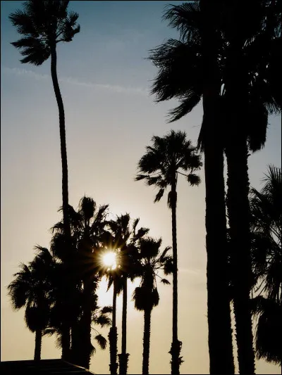 Quelle est ta saison pr&eacute;f&eacute;r&eacute;e ?