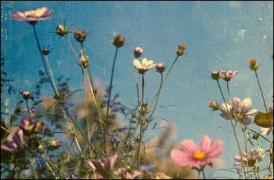 Imagine que tu es sur le point de monter sur sc&egrave;ne, comment te sens-tu ?
