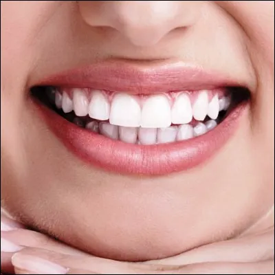 Quel singe am&eacute;ricain est parfois appel&eacute; marmouset ?