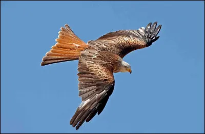 Ville qui a l'Inter.