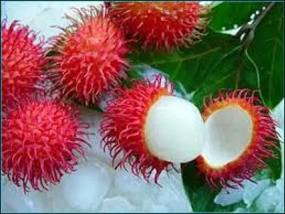 Comment se nomme ce fruit ?