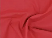 Quiz Rapidit� en est le mot-cl� !