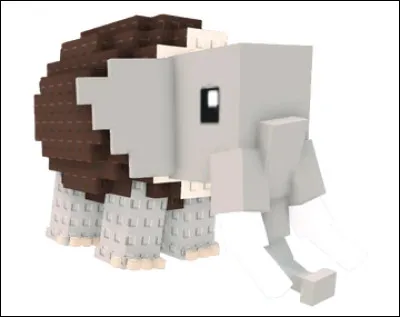 Quel est le nom de ce Brainrot ?