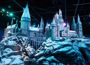 Test Qui es-tu dans ''Harry Potter'' ?