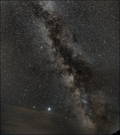 Il existe plus d�arbres sur Terre que d�&eacute;toiles dans la Voie lact&eacute;e.