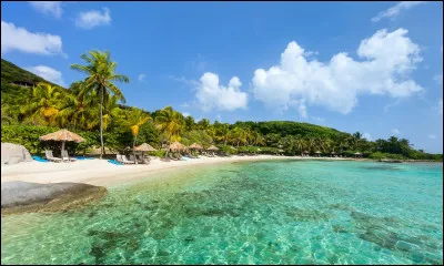 &Agrave; qui pense-t-on lorsqu'on &eacute;voque les chansons : Loverboy, Caribbean Queen ou encore Suddenly ?