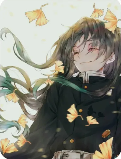 Si tu veux ''Demon Slayer'', quel personnage veux-tu ? (3/4)