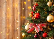 Test 🎄Si tu �tais une ambiance de No�l, laquelle serais-tu ?🎄