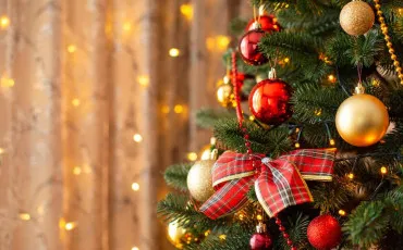 Quiz Test de personnalit�