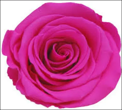 C'est une couleur rouge ros&eacute; vif :