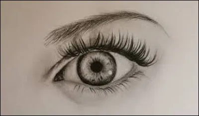 Lorsqu'on on perd sa capacit&eacute; de voir de pr&egrave;s, alors on est sans doute atteint de :