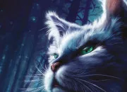 Quiz Quiz sur �toile Bleue