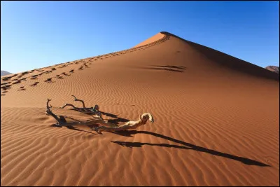 Quel est le plus grand d&eacute;sert chaud ?