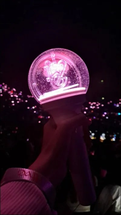 Pour commencer, qui est la maknae ?