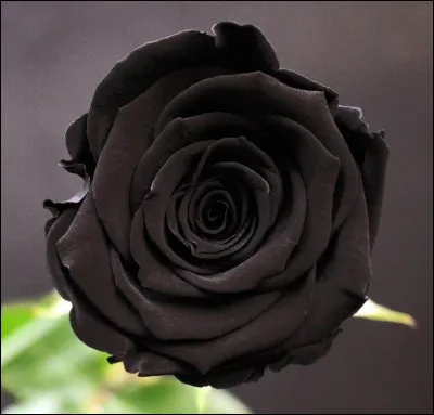 Quelle est cette couleur ?