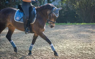 Quiz Test de personnalit�