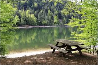 Quel personnage de "Stranger Things" est particuli&egrave;rement fan de Kate Bush ?