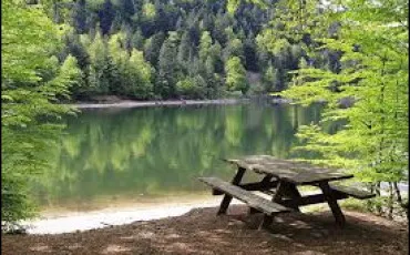 Quiz Culture g�n�rale