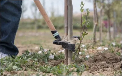 En v&eacute;nerie, quel nom donne-t-on &agrave; la fiente d'oiseau de proie ?