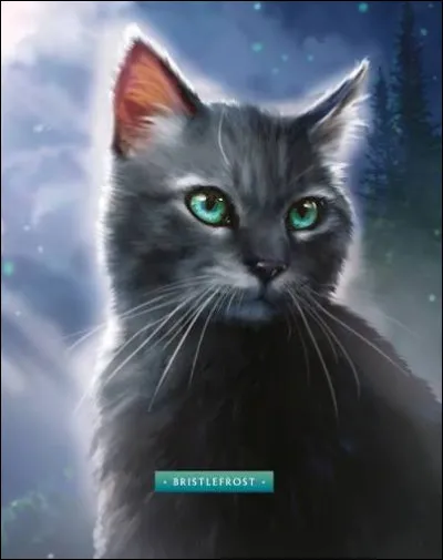 Quelle est cette couleur ?