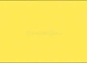 Quiz Si vous ne faites pas 100%, je ne comprends pas