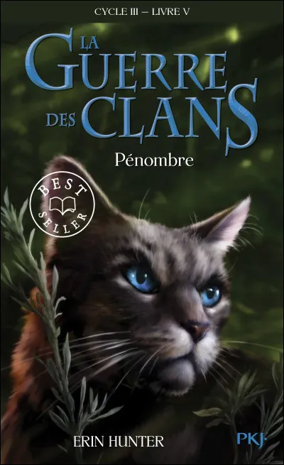 Qui est le chat sur la couverture du livre "P&eacute;nombre" ?