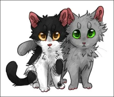 Bravo si tu es parvenu jusqu'ici ! Derni&egrave;re question : combien de fr&egrave;res et s�urs &Eacute;toile de Feu a-t-il ?