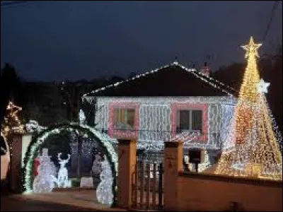 Cette ann&eacute;e nous commen&ccedil;ons nos promenades de No&euml;l dans le Grand-Est, devant cette maison de Chaumont. Pr&eacute;fecture de son d&eacute;partement, elle se situe ...