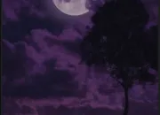 Test Es-tu plut�t nuit ou jour ?