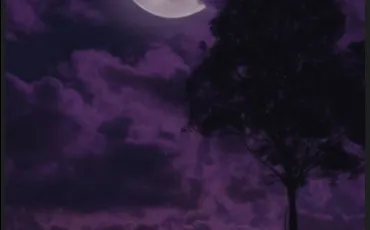 Quiz Test de personnalit�