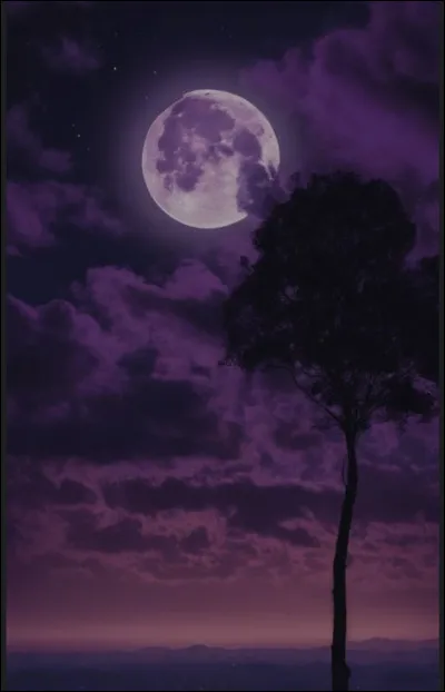 Quelle est ta couleur pr&eacute;f&eacute;r&eacute;e ?