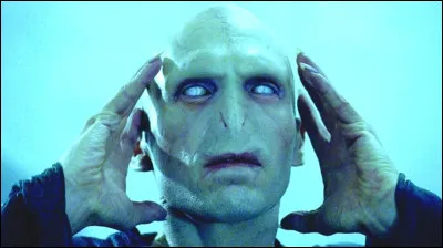 Tome 6 (Harry Potter et le Prince de Sang-M&ecirc;l&eacute;) - Quel est le premier Horcruxe identifi&eacute; par Dumbledore et Harry dans ce tome ?