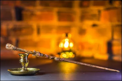 Tome 7 (Harry Potter et les Reliques de la Mort) - Qui est le vrai propri&eacute;taire de la baguette de Sureau au d&eacute;but de l�histoire ?